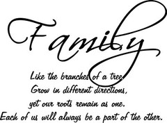 Home LOVE Wall Decals Quote Vinyl Wall Stickers Art Scripture Bedroom Decor