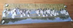 1979 Verkerke White Horses In The Camargue Large Original Poster 62.5″X 21″ #2