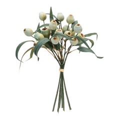 Green Pod Foliage Bundle (Set of 2)