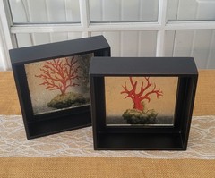 Coral Print, Mirror Effect Black Framed Shadow Boxes, Set of 2, Coastal Classy