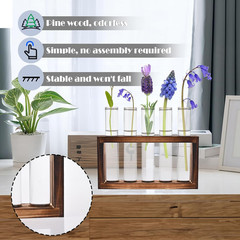 Desktop Glass Plant Propagation Station with 5 Test Tubes in Wooden Stand – H…