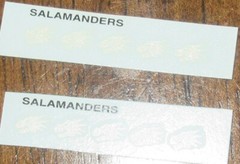 Decals Warhammer 40K Space Marines Salamanders Transfers