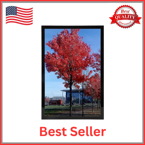 11X17 Picture Frame Black Poster Frame to Display 11 by 17 Inch Picture Photo