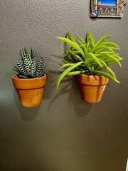 Handmade Magnetic Succulent Planter Mini Terracotta Fridge Plant Live Succulent