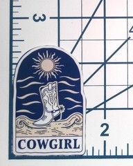 Cowgirl Boot Sun Retro Vinyl Sticker Vintage Western Blue White Decal