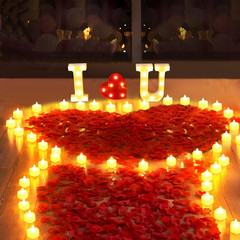 1027 Pcs I Love U Light up Letters Proposal Decorations, I Love U Sign with 24 P