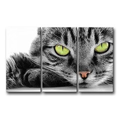 Cat Wall Art Painting 3 Piece Black and White Green Eye Cat Pictures Prints O