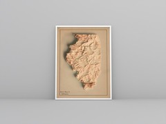 Illinois Map, Illinois 2D Relief Map, Illinois Vintage Map – 2D Flat Print