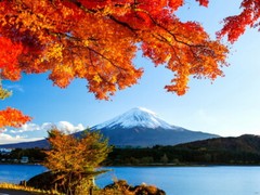 V5550 Mount Fuji Japan Autumn Fall Beautiful Nature Decor WALL POSTER PRINT