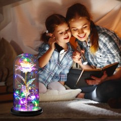 Eternal Forever Galaxy Rose Flower In Glass Dome LED Light Valentine’s Day Gift