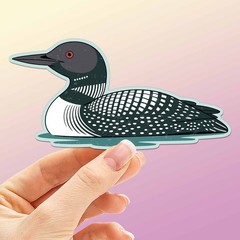 Loon Birdwatching Sticker – Midwest Lake Bird Decal for Laptop & Water Bottle