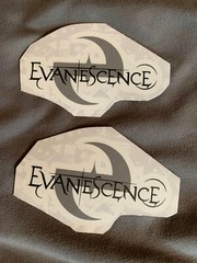 Lot of (2) EVANESCENCE 1 1/2″ x 2 1/2″ Band STICKERS Black White FAST! FREE SHIP
