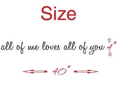 ALL OF ME LOVES ALL OF YOU vinyl wall decal sticker love quote FREE SHIPPING !!!