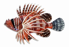 12″ 3 Dimensional Tropical Lionfish Lion Fish Wall Mount Decor Plaque 68L-R