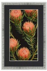 11×22 Frame Silver With Black Picture Mat For 11×22 Photo – Silver 13×24 Frame T