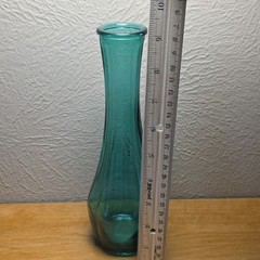 Bohemian Home Decor Evergreen Indiana Glass Vase Real Peacock Feather Boho Chic