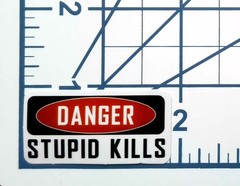 Danger Stupid Kills Vinyl Sticker Funny Job Site Decal Hard Hat Humor Toolbox