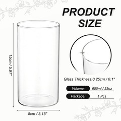 Clear Cylinder Vases 6 Inch Tall Glass Flower Vase for Table Decor 22oz