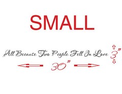 ALL BECAUSE TWO PEOPLE FELL IN LOVE wall vinyl sticker romantic art quote 2 SIZE