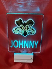 Wile E. Coyote Night Light Personalized LED Plug In With Dusk to Dawn Sensor