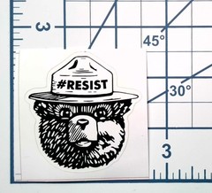 Smokey the Bear Vinyl Sticker Resist Kiss Cut Black White Durable Ready to Ship