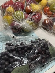 Plastic Assorted Artificial Fruit & Vegetable Decor Lot, Multicolor, 10+ Pcs