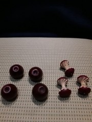 Small wooden carved red apples 4 whole and 3 cores adorable 1.5″ x 1″