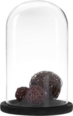 6 x 10 Inches Clear Glass Cloche Bell Jar Display Case w/ Rustic Black Wood Base