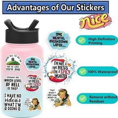 50PCS Funny Meme Stickers Adult Sarcastic Waterproof Vinyl Laptop Decals