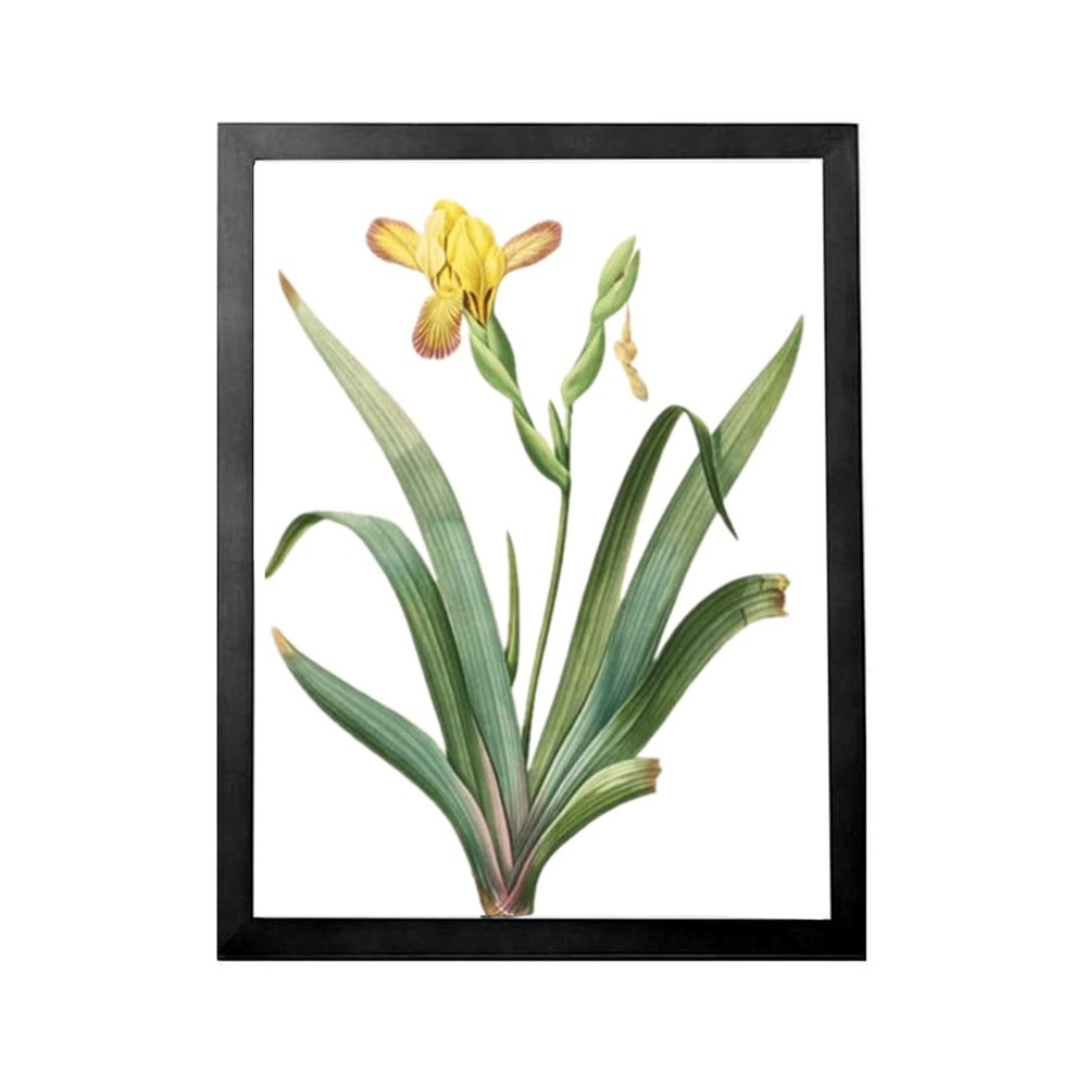 A3 Poster Frame,Paintings Frames with Plexiglass Front,Actual Fits 11 3/4×16 …