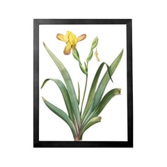 A3 Poster Frame,Paintings Frames with Plexiglass Front,Actual Fits 11 3/4×16 …