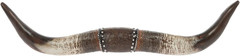 Longhorn Western Wall Decor Resin Ornate Leather Strap Style 22in – US
