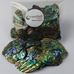 Abalone (Pāua) Shell Pieces-7.05oz Pack-for Medium-Pieces- 1″-1.58″ – 7.05oz