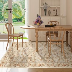 DUKINO 4×6 Rugs for Living Room, Lightweight Non Slip Washable Rug with Low P…