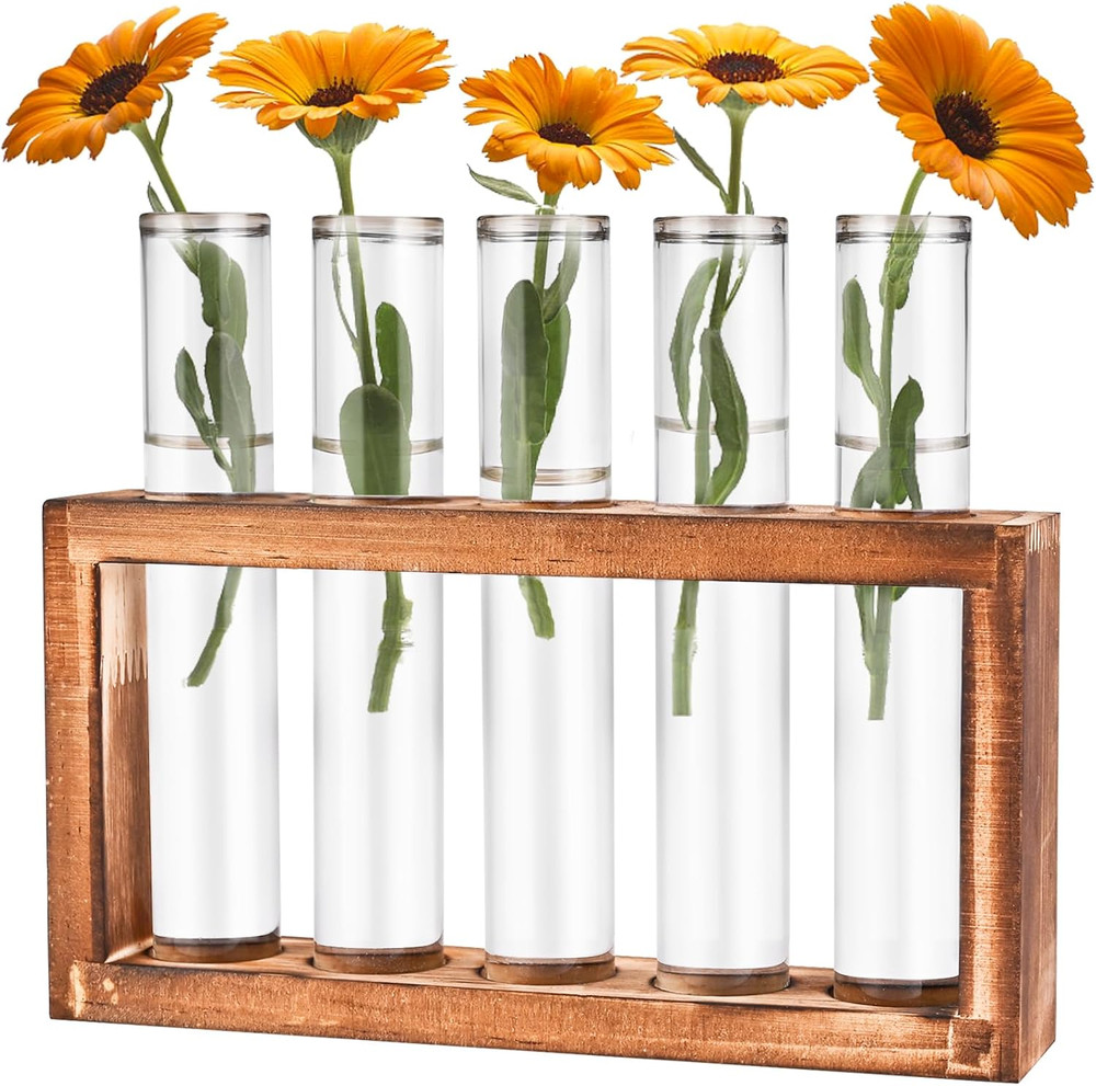 Desktop Glass Plant Propagation Station with 5 Test Tubes in Wooden Stand – H…