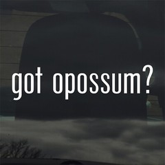Got Opossum? Custom Vinyl Sticker / Decal Possum, Wildlife, Animals, Marsupial