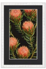 11×22 Frame White With Black Picture Mat For 11×22 Photo – White 13×24 Frame To