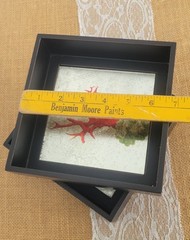 Coral Print, Mirror Effect Black Framed Shadow Boxes, Set of 2, Coastal Classy