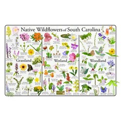 Native Wildflowers of South Carolina Flower Identification Poster
