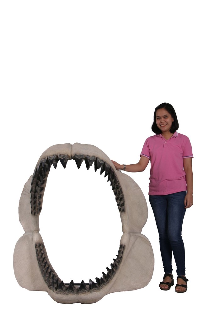 Megalodon Giant Shark Jaw Open Life Size Statue Ocean Sea Fossil Prop Display