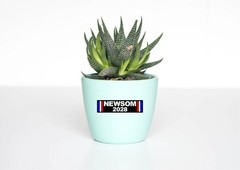 Newsom 2028 Decal Sticker Vote President CA USA Gavin Anti Trump MAGA Political