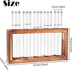 Desktop Glass Plant Propagation Station with 5 Test Tubes in Wooden Stand – H…