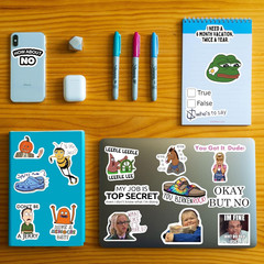 500 Pcs Funny Stickers for Adults & Teens – Trendy Meme Sticker, VSCO Vinyl Deca