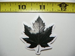 MAPLE LEAF WITH FOREST SCENE SMALL STICKER DECAL NATURE OUTDOORS FUN CALMING