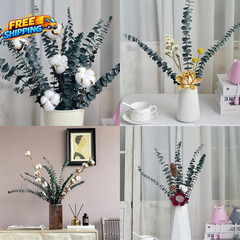 Eucalyptus for Shower 10 Pcs Hanging Dried Eucalyptu Stems 17 Real