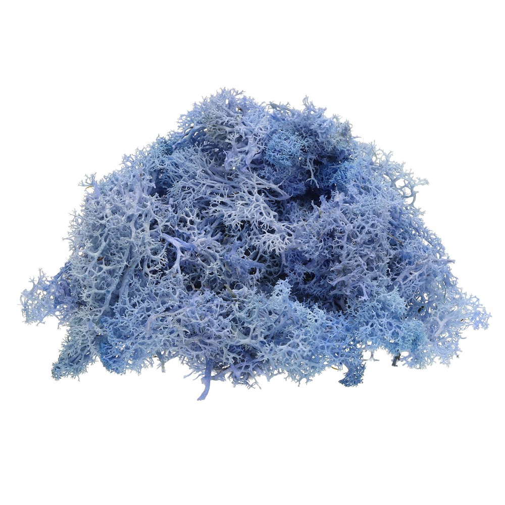 1 Pcs Preserved Reindeer Moss 4 OZ Fake Moss for Crafts Sky Blue