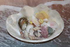 1-CAPIZ SEASHELL Clam Shape Bowl,Wedding Decor,Beach Decor,All Occasion Gifts