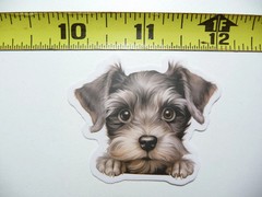 PEEKING SCHNAUZER SMALL STICKER DECAL PUPPY DOG PET LOVE PEEK A BOO