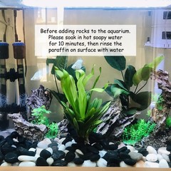 FANTIAN 5 lbs Polished Black Pebbles for Indoor Plants, 0.8-1.2 Inch Small Ba…