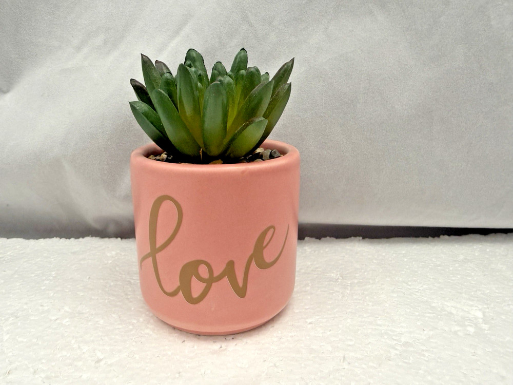 Potted Faux Succulent Pink «Love» 4″ FAST SHIP!